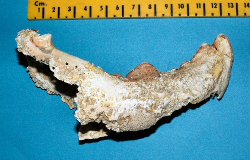 © Thijs de Boer © Thijs de Boer